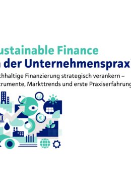 Sustainable Finance in der Unternehmenspraxis